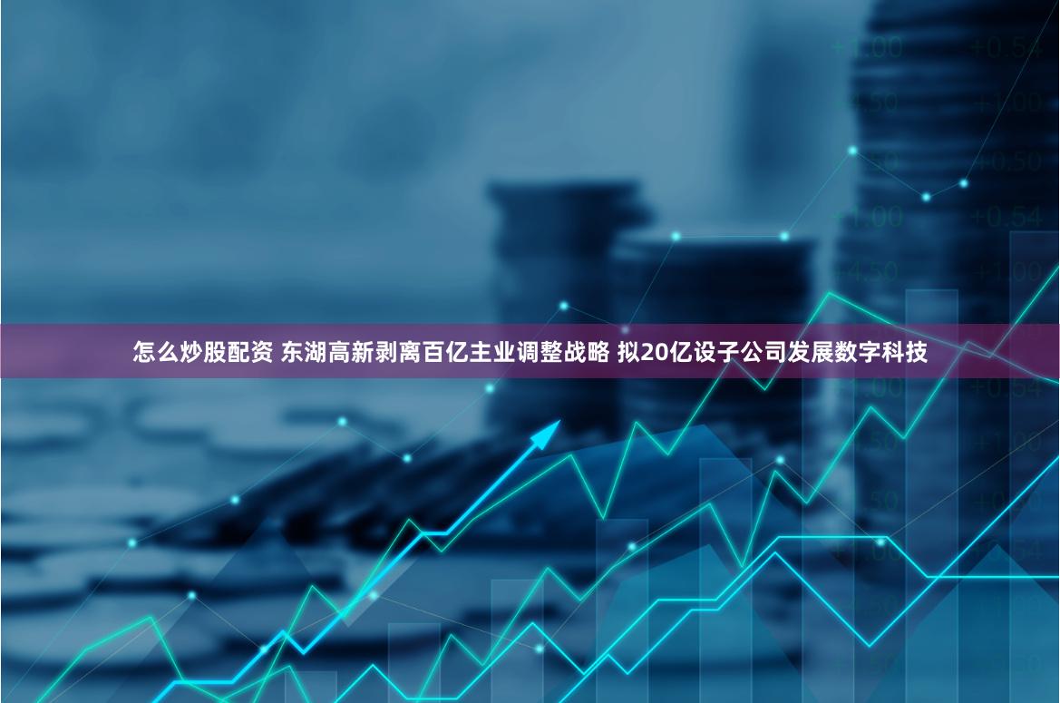 怎么炒股配资 东湖高新剥离百亿主业调整战略 拟20亿设子公司发展数字科技