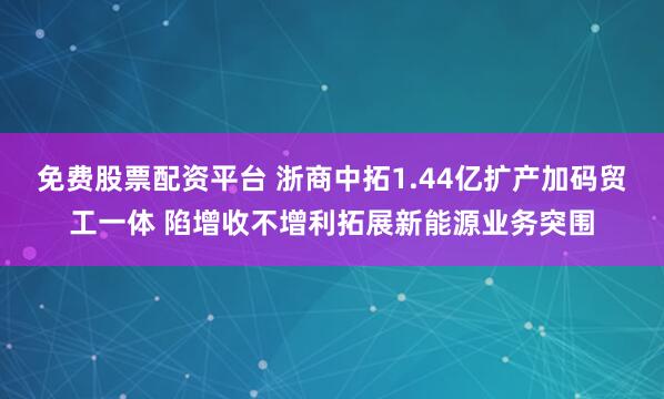 免费股票配资平台 浙商中拓1.44亿扩产加码贸工一体 陷增收不增利拓展新能源业务突围