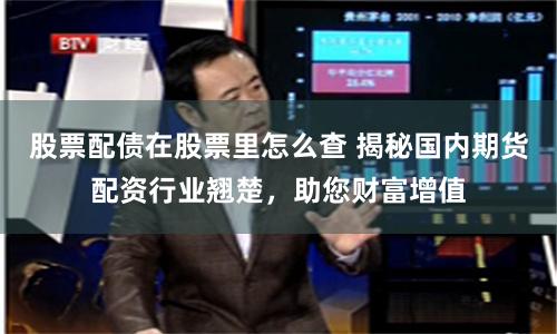 股票配债在股票里怎么查 揭秘国内期货配资行业翘楚，助您财富增值