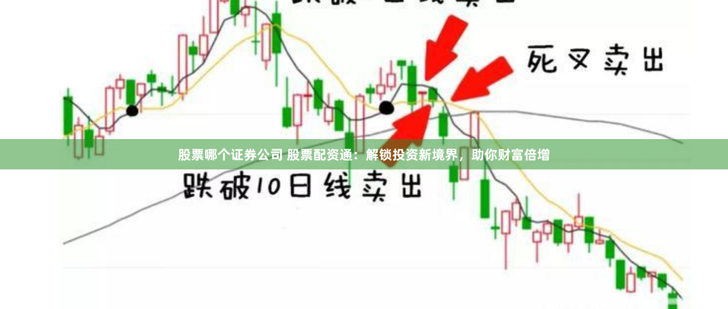 股票哪个证券公司 股票配资通：解锁投资新境界，助你财富倍增