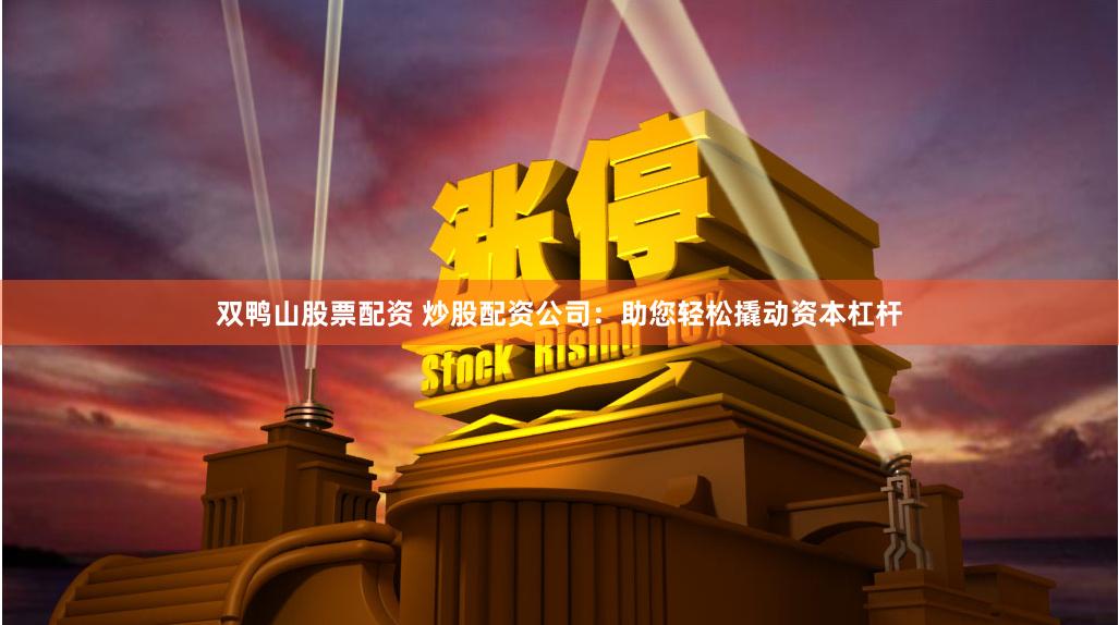双鸭山股票配资 炒股配资公司：助您轻松撬动资本杠杆